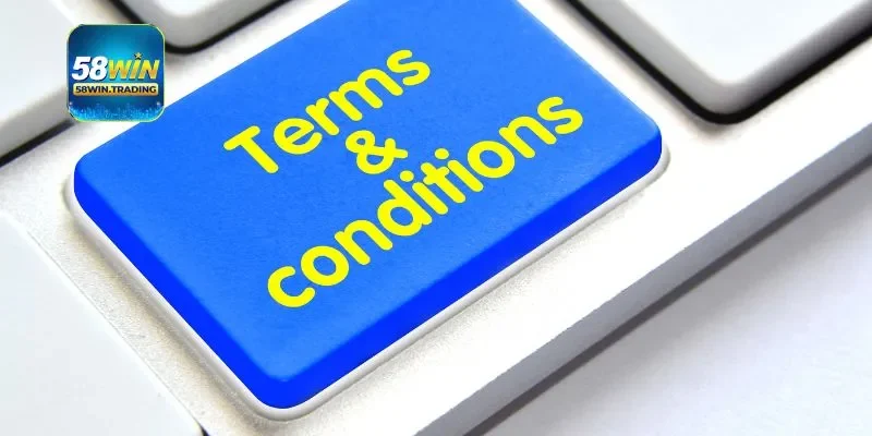 Trải nghiệm minh bạch và ổn định trong từng giao dịch trực tuyến